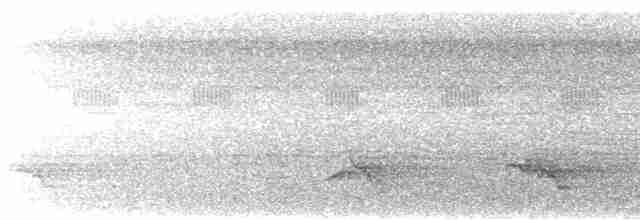 Cassique à dos rouge (microrhynchus) - ML616835453