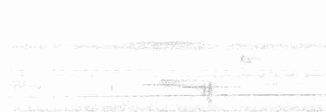 Schwarzkopf-Ameisendrossel - ML616836521