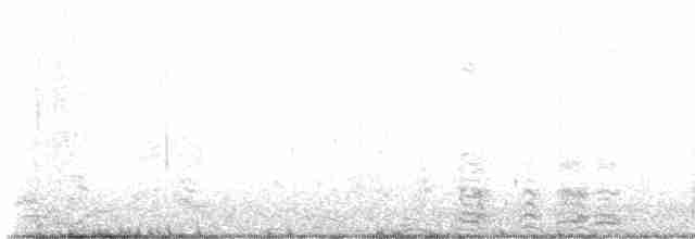 Black-bellied Plover - ML616837207