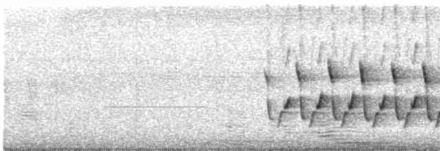 Каролинский крапивник - ML616839754