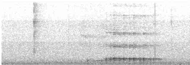 Кайеннский ибис - ML616840859