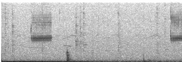 Loggerhead Shrike - ML616841618