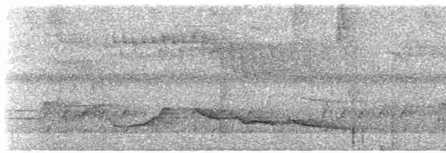 Зернолуск білогорлий - ML616842471
