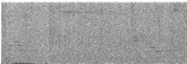 Kuzeyli Benekli Bülbül Ardıcı - ML616843347