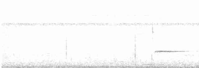 Braunrücken-Ameisenvogel - ML616843774