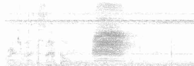 Kestane Sırtlı Karıncakuşu - ML616843820