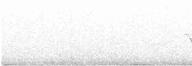 Yellow-rumped Warbler - ML616844107