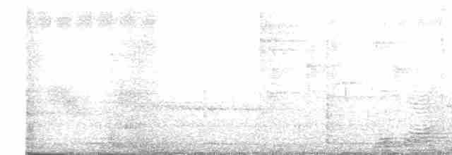 Large-billed Reed Warbler - ML616845706
