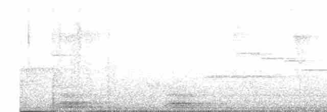 Large-billed Reed Warbler - ML616845708