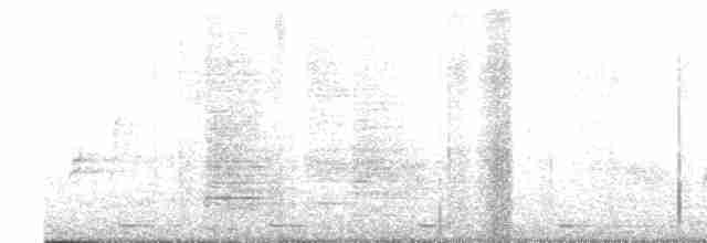 Large-billed Reed Warbler - ML616845709
