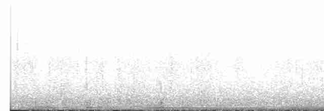 Braunaugenvireo (pusillus) - ML616846858