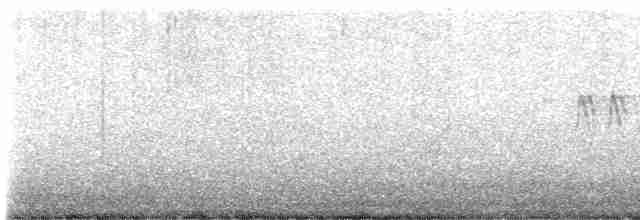 Юнко сірий [група oreganus] - ML616846891
