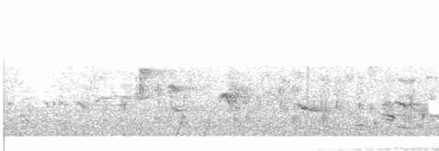 セスジツバメ - ML616847122