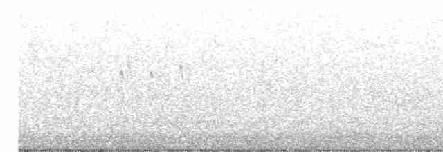 Белогрудая миагра - ML616847561