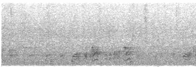 White-hooded Babbler - ML616848440