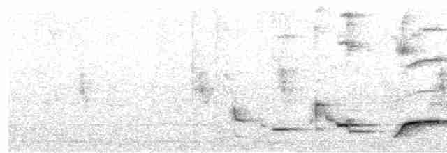Black-naped Oriole - ML616850107