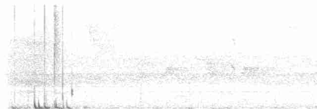 Rhipidure à gorge blanche - ML616850358