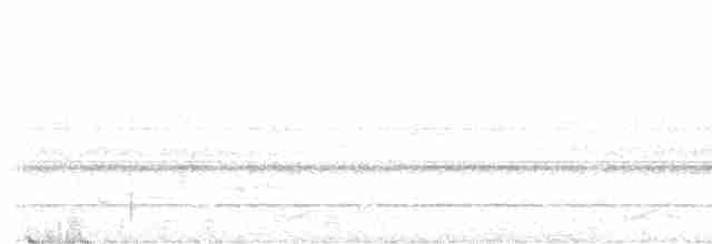 Gray-cheeked Warbler - ML616850361