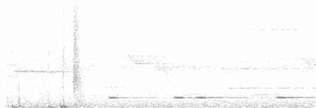 Ошейниковый сычик - ML616850400
