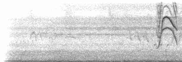 Blue-gray Tanager (White-edged) - ML616851226