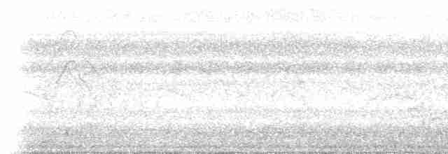 Blue-gray Tanager (White-edged) - ML616851324