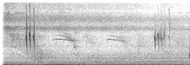 シロオビツバメ - ML616851344