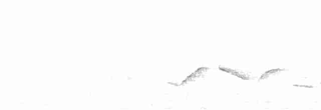 Пестрогрудая овсянка (Лисья) - ML616852498