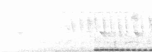 Cucal Cejiblanco (superciliosus/loandae) - ML616852913