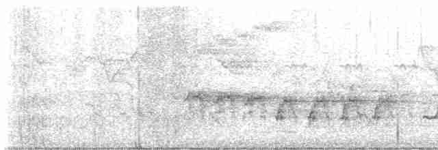 Weißbrauendrossel - ML616853049