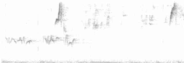 ハイノドユミハチドリ（porcullae） - ML616853210