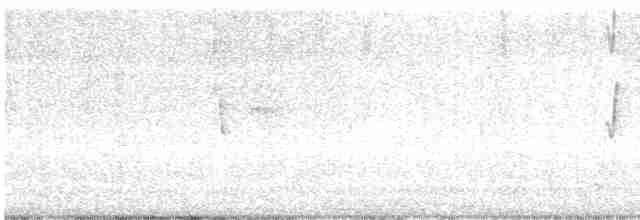 Black-cowled Saltator - ML616853221