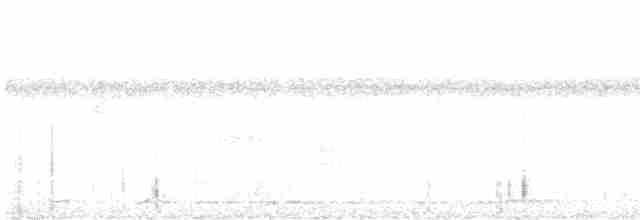 holub krátkozobý - ML616853980