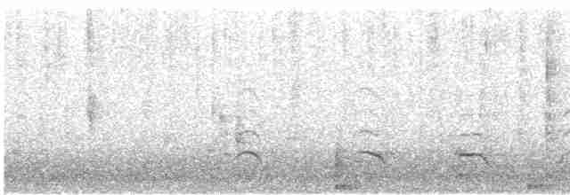 שחף אפרורי (אירואסייתי) - ML616854449