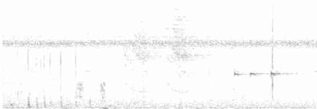 Серогрудый коростелёк - ML616854576