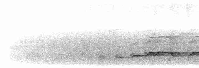 Haubenschlangenadler - ML616854720