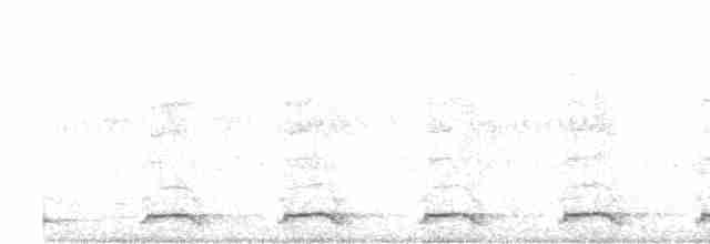 Chevêchette du Cap - ML616854897