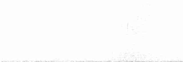 Красноголовая короткохвостка - ML616854917