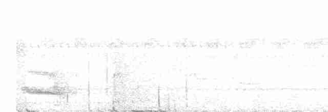Тукан чорнодзьобий - ML616857498