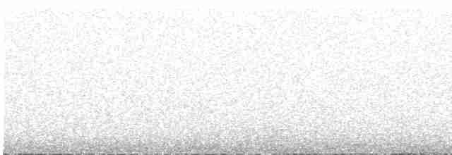 Сікора світлогорла - ML616857523