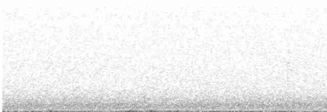 Ornate Tinamou - ML616857603