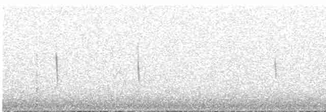 striperyggkurvfugl (sclateri gr.) - ML616857611