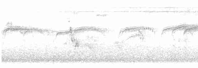 ヨーロッパアマツバメ - ML616857753
