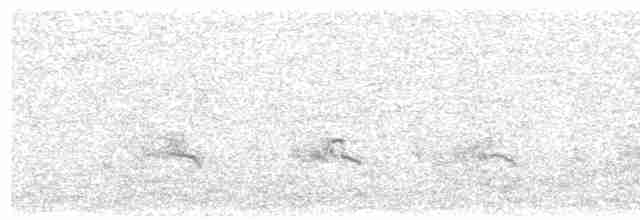 西方秧雞 - ML616858213