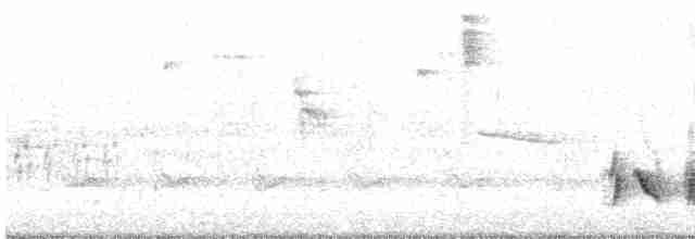 Krummschnabel-Spottdrossel [palmeri-Gruppe] - ML616859113