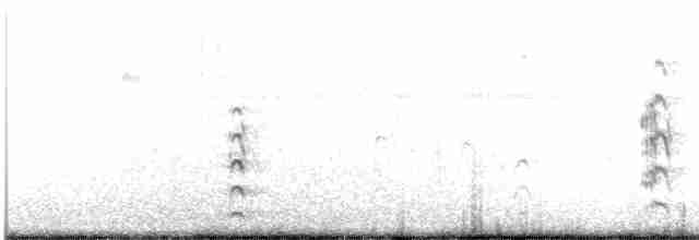 Sterne caugek (acuflavidus) - ML616859163