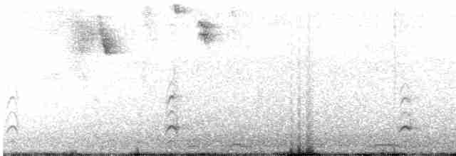 Крячок рябодзьобий (підвид acuflavidus) - ML616859164