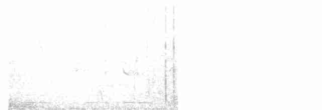Голоногая совка - ML616859901