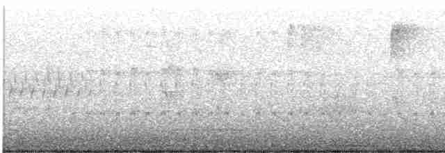 Kara Karınlı Islıkçı Ördek - ML616860638