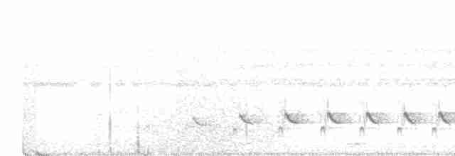 Little Tinamou - ML616861355