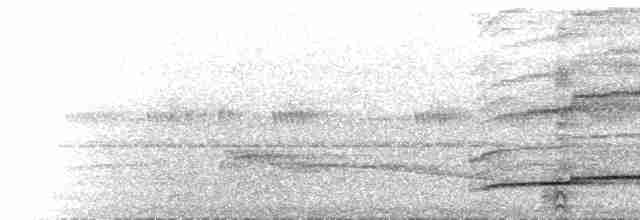 Синеголовый зимородок (capucinus) - ML616862100